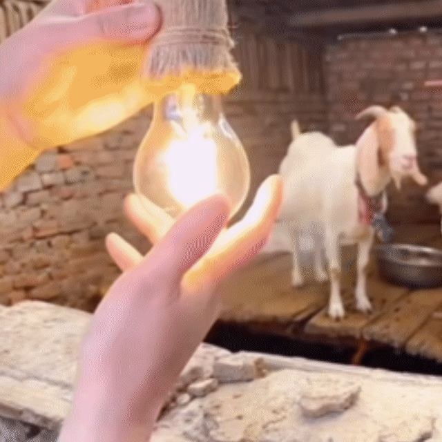 Set Două Camere Tip Bec Full HD