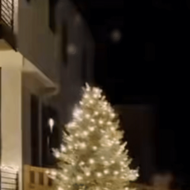 Instalație De Crăciun 100 LED, 6 m Interior-Exterior – Alb Rece