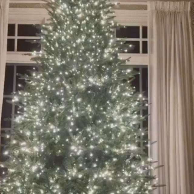 Instalație De Crăciun 100 LED, 6 m Interior-Exterior – Alb Rece