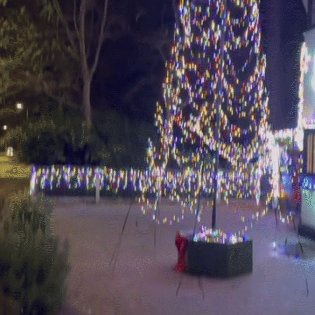 Instalație De Crăciun 100 LED, 6 m Interior-Exterior – Multicolor