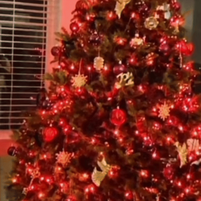 Instalație De Crăciun 100 LED, 6 m Interior-Exterior – Roșu