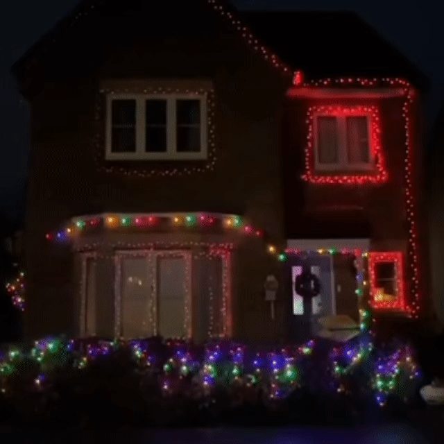 Instalație De Crăciun 100 LED, 6 m Interior-Exterior – Roșu