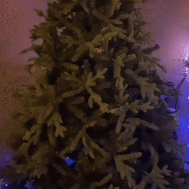 Instalație De Crăciun 100 LED, 6 m Interior-Exterior – Albastru