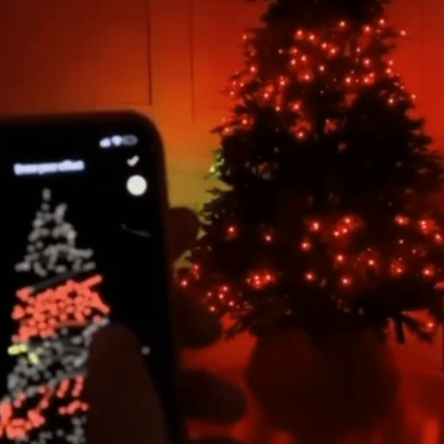 Instalație Smart RGB 8m pentru Bradul de Crăciun